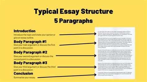 How Long Should a Body Paragraph Be in an Essay? A Detailed Discussion